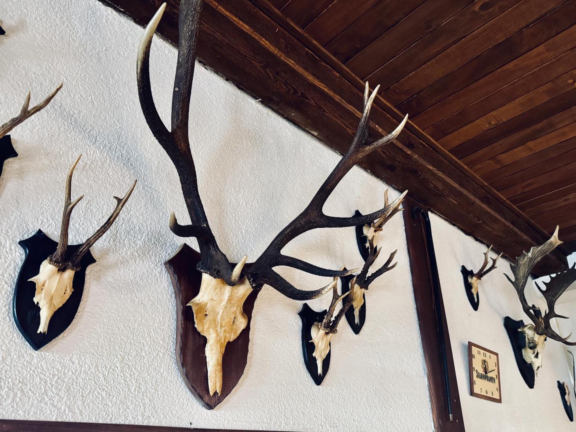 Myslivna Harrachov Hotell Eksteriør bilde